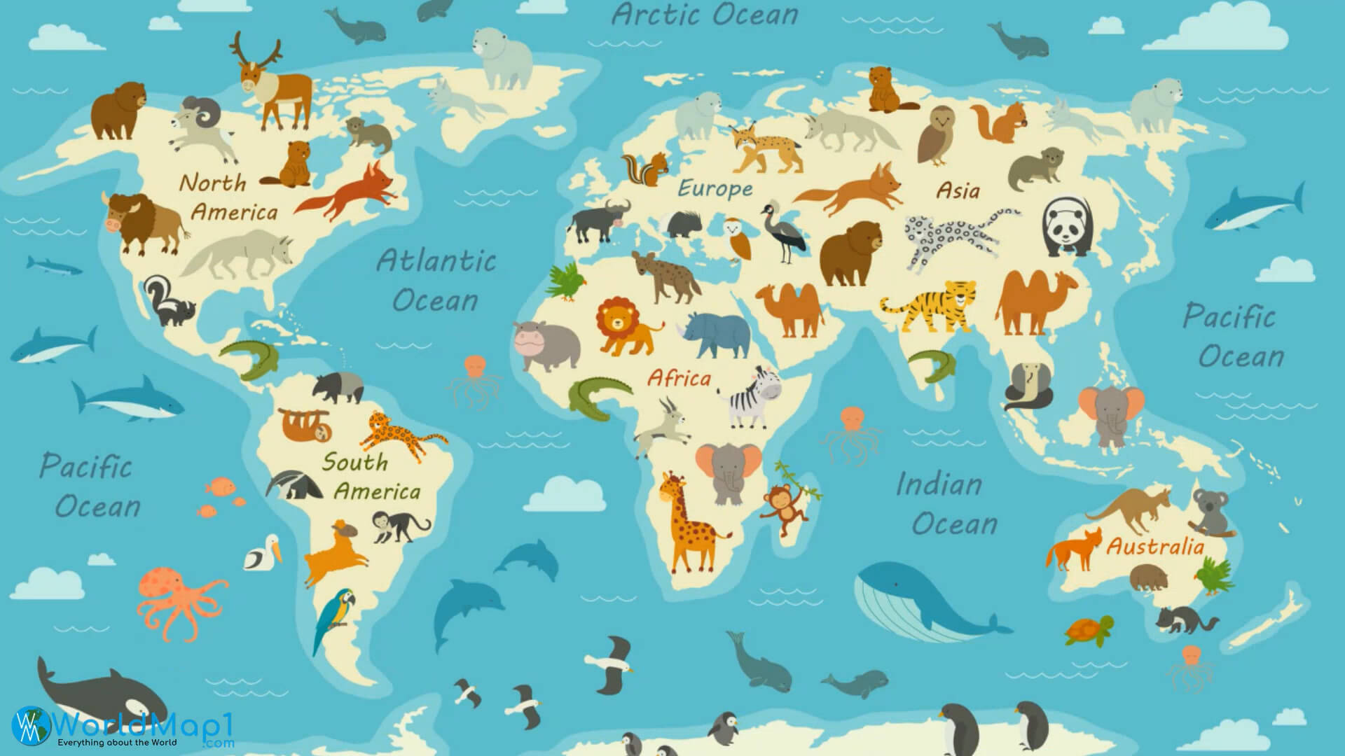 Antarctica and The World Animals Map